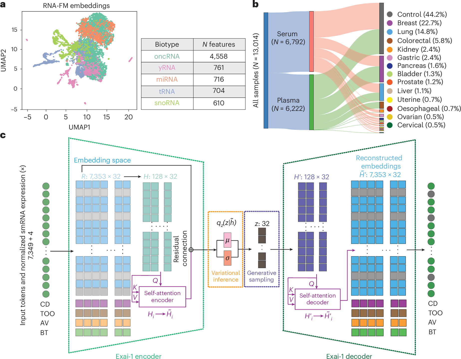 Figure showing cell-free RNA feature embeddings, sample composition, and the Exai-1 model architecture.